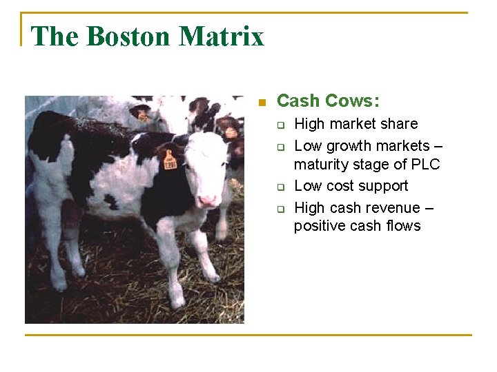 The Boston Matrix n Cash Cows: q q High market share Low growth markets