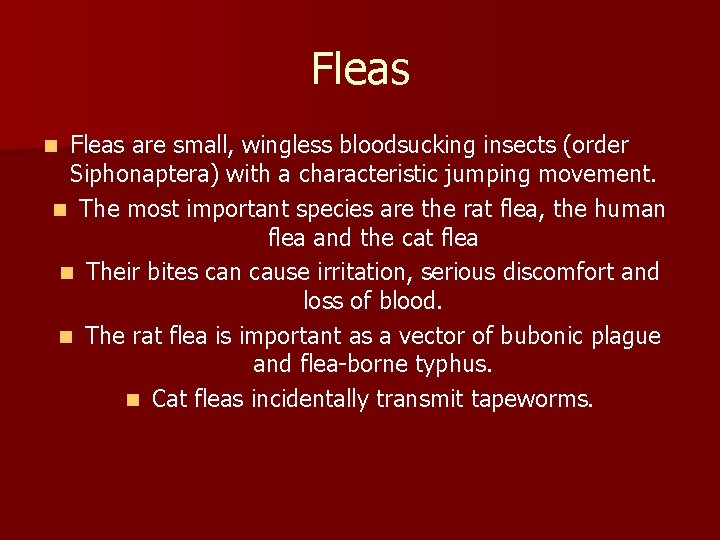 Fleas are small, wingless bloodsucking insects (order Siphonaptera) with a characteristic jumping movement. n