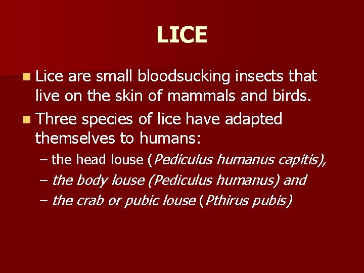 LICE n Lice are small bloodsucking insects that live on the skin of mammals