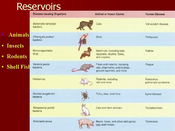 Reservoirs • Animals • Insects • Rodents • Shell Fish 