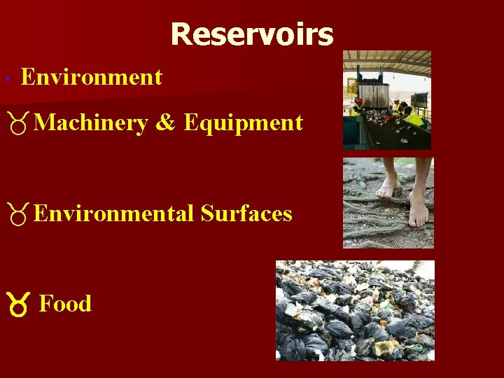 Reservoirs • Environment _Machinery & Equipment _Environmental Surfaces Food 
