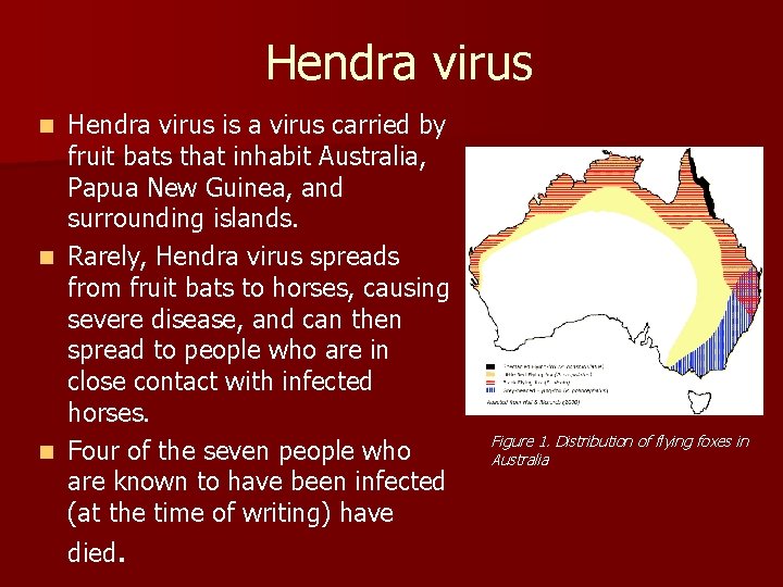 Hendra virus is a virus carried by fruit bats that inhabit Australia, Papua New