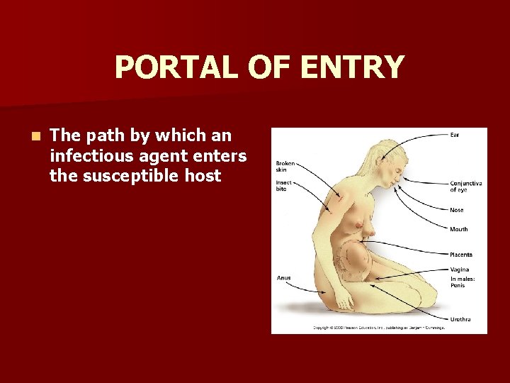 PORTAL OF ENTRY n The path by which an infectious agent enters the susceptible