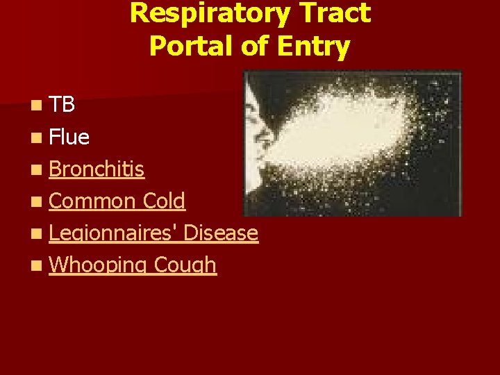 Respiratory Tract Portal of Entry n TB n Flue n Bronchitis n Common Cold