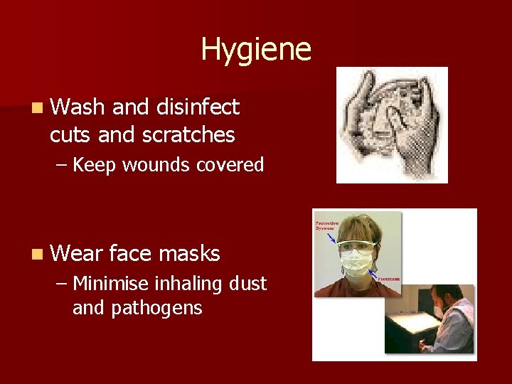 Hygiene n Wash and disinfect cuts and scratches – Keep wounds covered n Wear