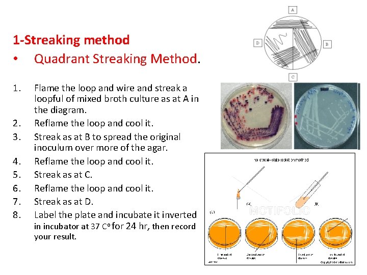 1 -Streaking method • Quadrant Streaking Method. 1. 2. 3. 4. 5. 6. 7.