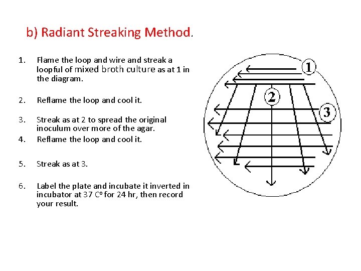 Isolation of Bacteria by Dilution Technique Lab 2