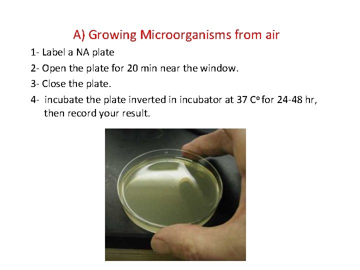 A) Growing Microorganisms from air 1 - Label a NA plate 2 - Open