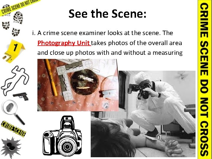 See the Scene: i. A crime scene examiner looks at the scene. The Photography