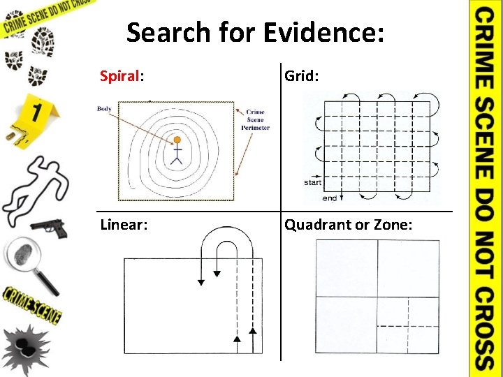 Search for Evidence: Spiral: Grid: Linear: Quadrant or Zone: 