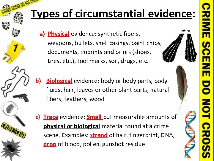 Types of circumstantial evidence: a) Physical evidence: synthetic fibers, weapons, bullets, shell casings, paint
