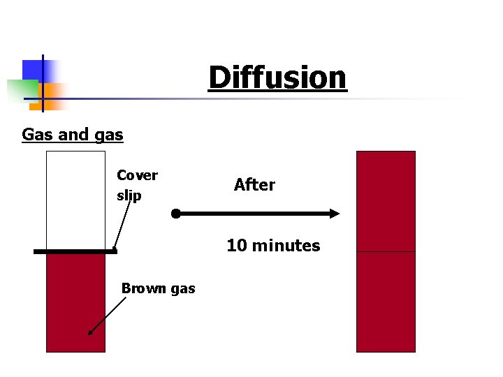 Diffusion Gas and gas Cover slip After 10 minutes Brown gas 