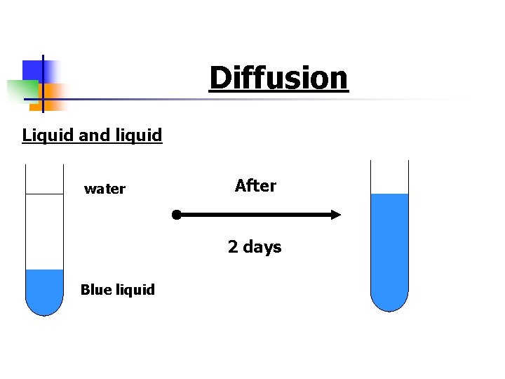 Diffusion Liquid and liquid water After 2 days Blue liquid 