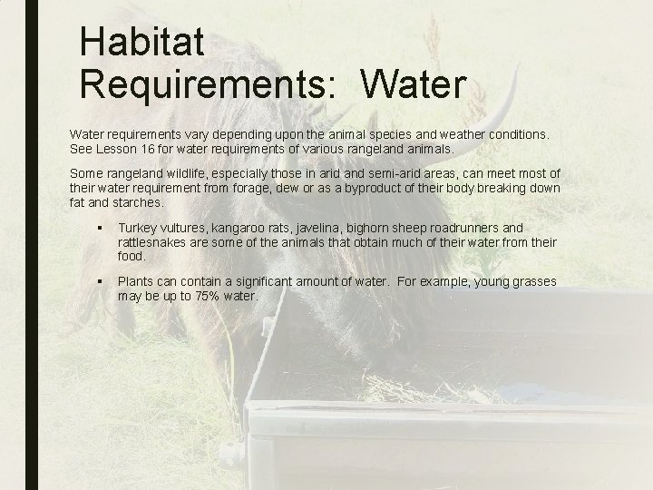 Habitat Requirements: Water requirements vary depending upon the animal species and weather conditions. See