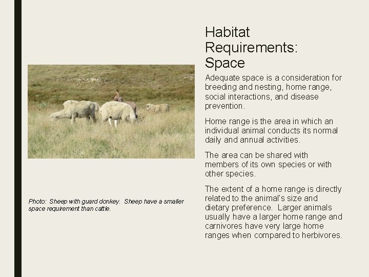 Habitat Requirements: Space Adequate space is a consideration for breeding and nesting, home range,