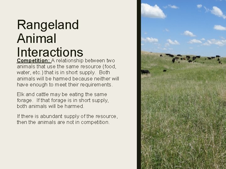 Rangeland Animal Interactions Competition: A relationship between two animals that use the same resource