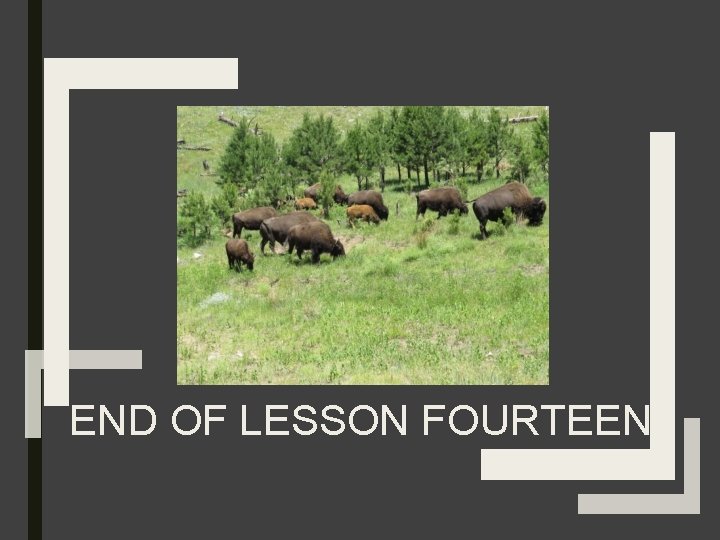 END OF LESSON FOURTEEN 