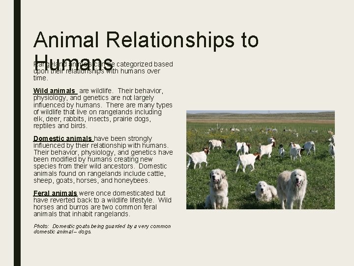 Animal Relationships to Humans Rangeland animals can be categorized based upon their relationships with