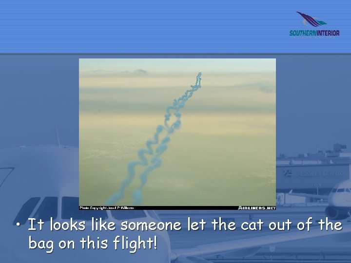  • It looks like someone let the cat out of the bag on