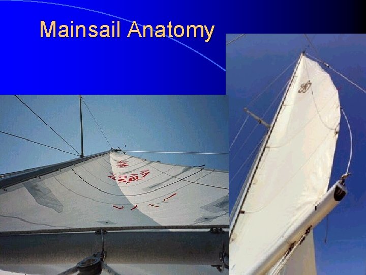 Mainsail Anatomy 