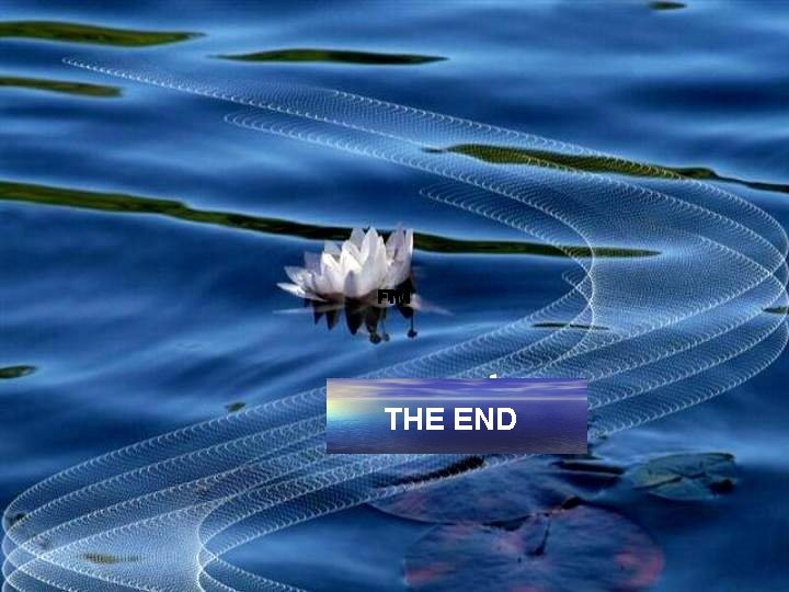 FIM THE END 