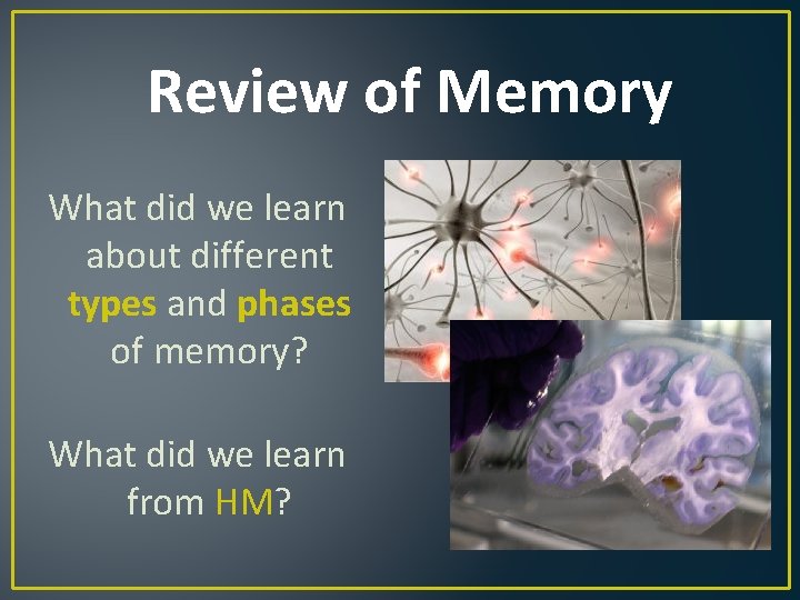 Review of Memory What did we learn about different types and phases of memory?