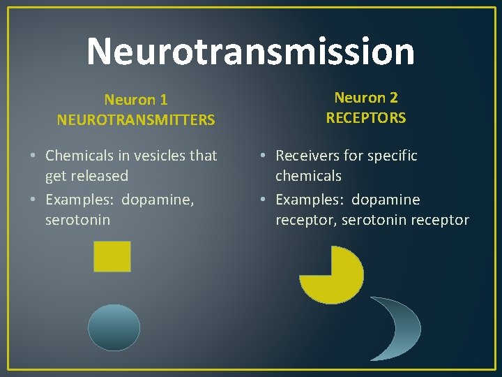 Neurotransmission Neuron 1 NEUROTRANSMITTERS • Chemicals in vesicles that get released • Examples: dopamine,