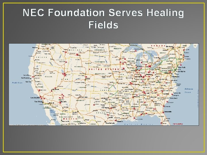 NEC Foundation Serves Healing Fields 