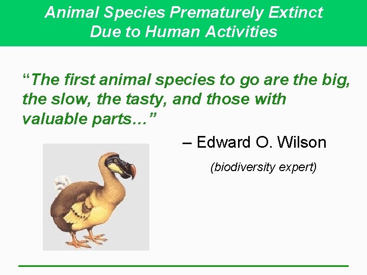 Animal Species Prematurely Extinct Due to Human Activities “The first animal species to go