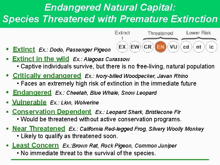 Endangered Natural Capital: Species Threatened with Premature Extinction § Extinct Ex. : Dodo, Passenger