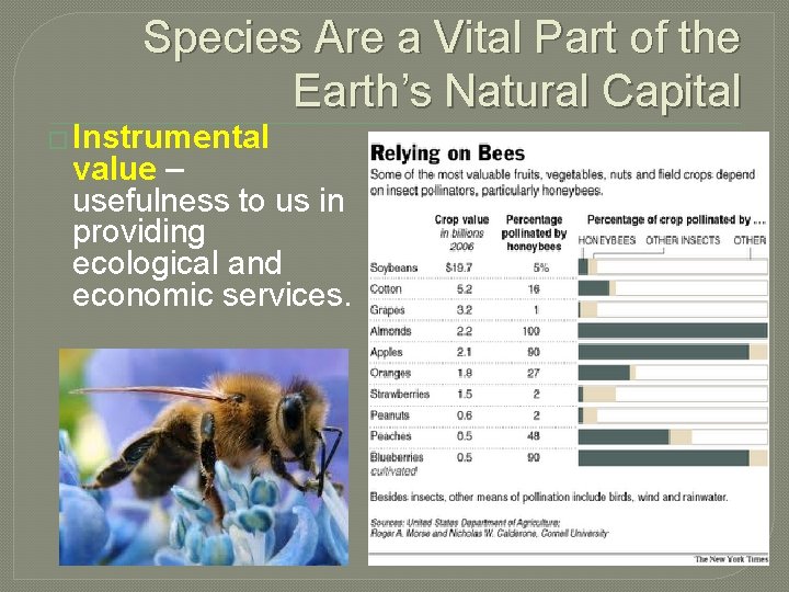 Species Are a Vital Part of the Earth’s Natural Capital � Instrumental value –
