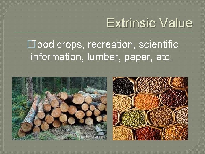 Extrinsic Value � Food crops, recreation, scientific information, lumber, paper, etc. 