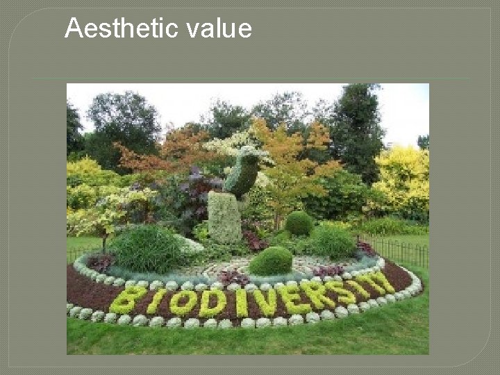 Aesthetic value 