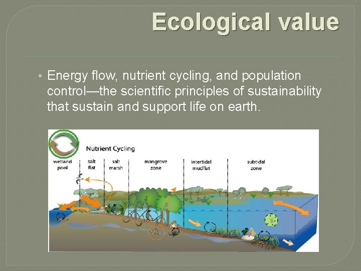 Ecological value • Energy flow, nutrient cycling, and population control—the scientific principles of sustainability