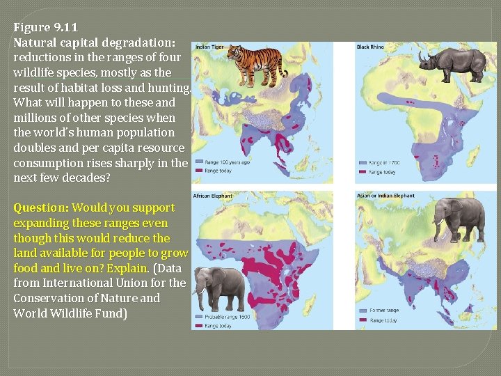 Figure 9. 11 Natural capital degradation: reductions in the ranges of four wildlife species,