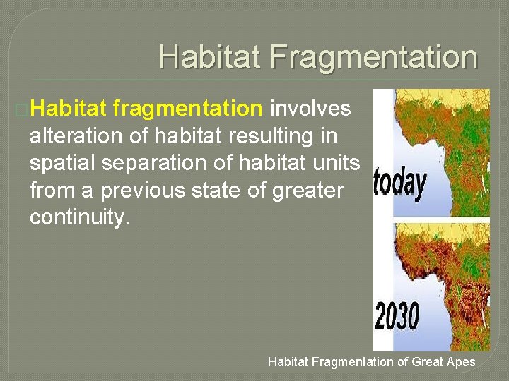 Habitat Fragmentation �Habitat fragmentation involves alteration of habitat resulting in spatial separation of habitat