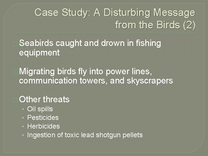Case Study: A Disturbing Message from the Birds (2) � Seabirds caught and drown