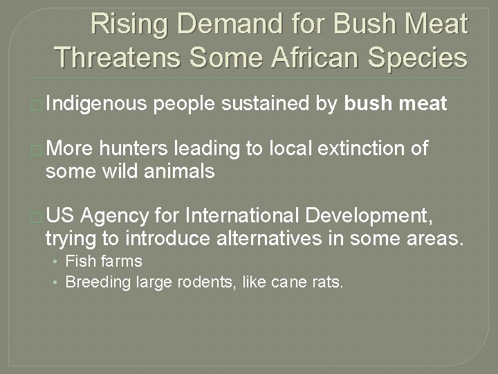 Rising Demand for Bush Meat Threatens Some African Species � Indigenous people sustained by