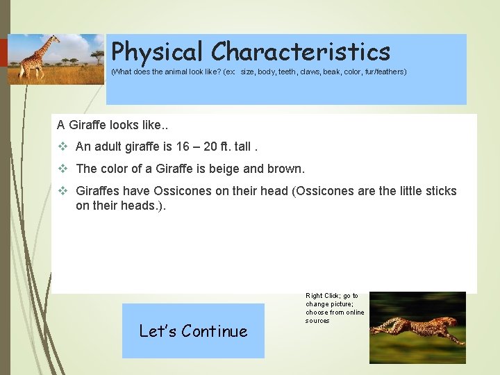 Physical Characteristics (What does the animal look like? (ex: size, body, teeth, claws, beak,