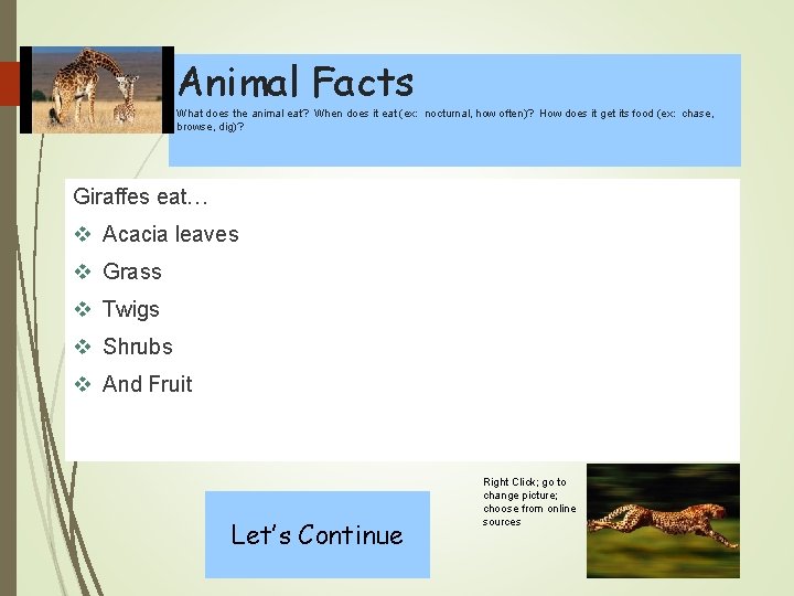 Animal Facts What does the animal eat? When does it eat (ex: nocturnal, how