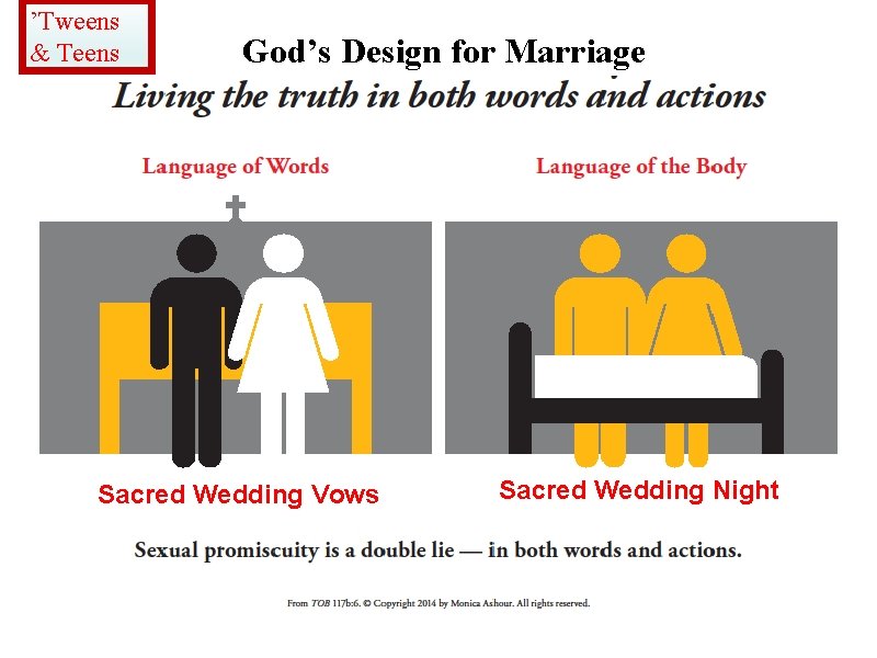 ’Tweens & Teens God’s Design for Marriage Sacred Wedding Vows Sacred Wedding Night 