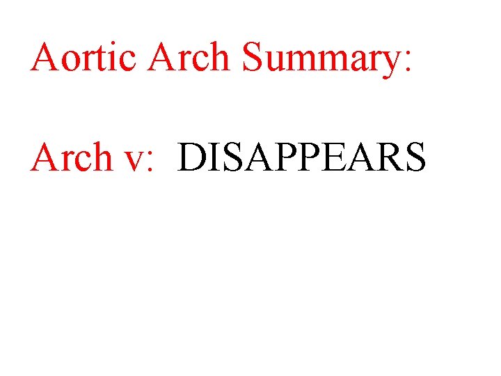 Aortic Arch Summary: Arch v: DISAPPEARS 