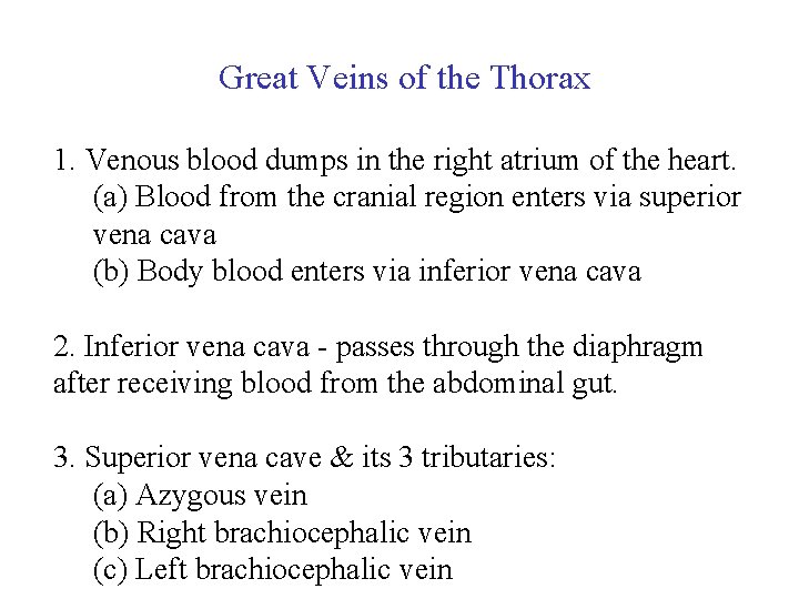 Great Veins of the Thorax 1. Venous blood dumps in the right atrium of