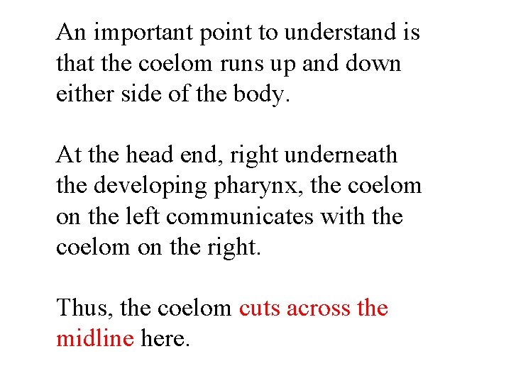 An important point to understand is that the coelom runs up and down either