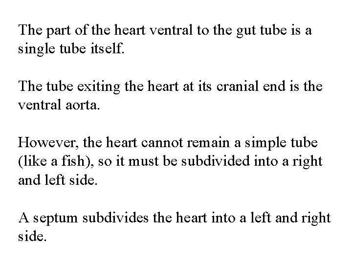 The part of the heart ventral to the gut tube is a single tube