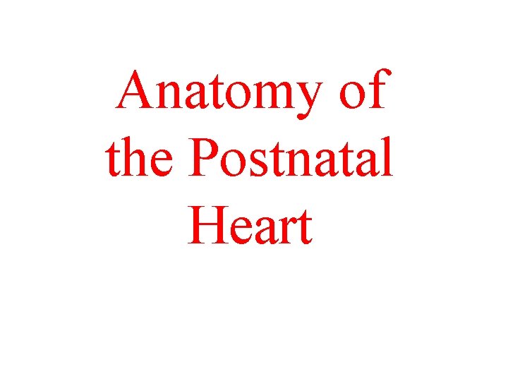 Anatomy of the Postnatal Heart 