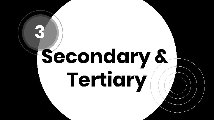 3 Secondary & Tertiary 