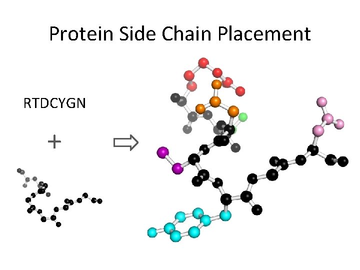 Protein Side Chain Placement RTDCYGN + 