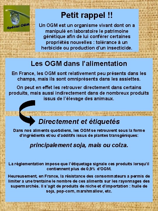 Petit rappel !! Un OGM est un organisme vivant dont on a manipulé en