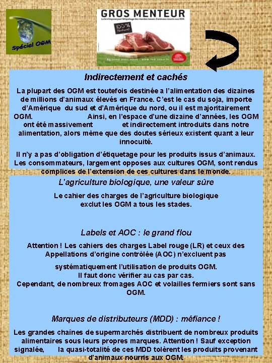 Indirectement et cachés La plupart des OGM est toutefois destinée a l’alimentation des dizaines